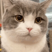 兄弟别回头我是你队友