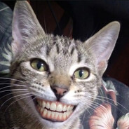 ๋