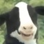 MilkyCoW