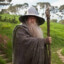 Gandalf the Grey