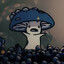 Momonga