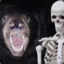 Barry Bear &amp; Simon Skeleton