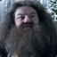 Rubeus Hagrid