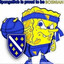 7\ bog