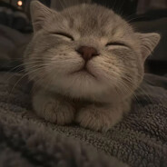Mimi's avatar