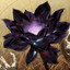 DarkLotus
