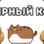 Кот жирный
