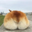老板给我包辣条