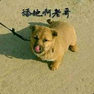 枪水 人苟  伏地吃鸡