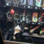 cat inside a machine