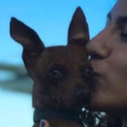 HABIBI ᴿ ᵃ ᴮ ᴮ ᶤ ᵗ