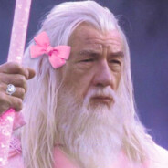 Gandalf the Raging Homos❤xual