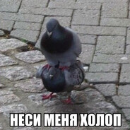 Мяу || Белуга