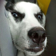 不爱路飞的汉库克