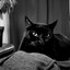 EternalCat
