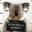 Criminalkoala7