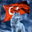 TURKISH POWER