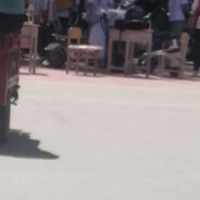 AAA树苗批发老李