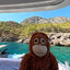 gods last monkey