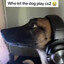 mack