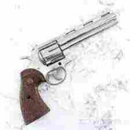 Sir Smith &amp; Wesson