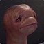 Meat