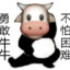勇敢牛牛 不怕困难