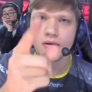 风韵犹存的荷兰猪