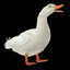 Zehpy