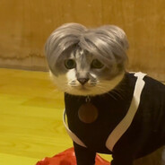 哈基米嘎南北ikun