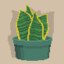 slangeplante