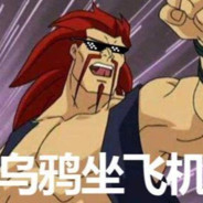 乌鸦坐飞机