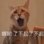 开挂没嘛嘛哦不能开哦