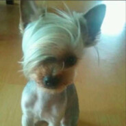 刘海也挡不住右眼的深情