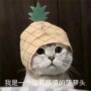 注意，我要躲起来吃分