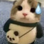 jakeebo1