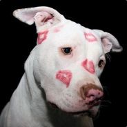 Tweak - steam id 76561197960372949