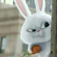 英俊伟岸的群主大人