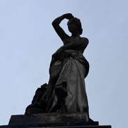 profile