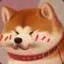 MrArcticFox
