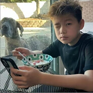 明天起就喜欢你