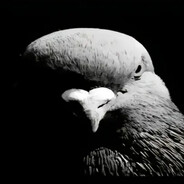 нервный ден