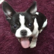 Taka - steam id 76561197965104685