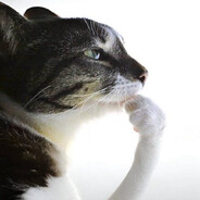 Flommer's avatar