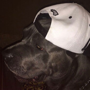 厉不厉害你坤哥