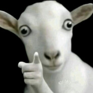 zamil