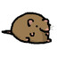 rat