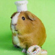 товарищ солнце