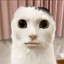 yel
