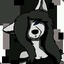 Kasey_The_Wolf